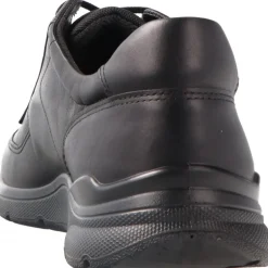 Classique*Ecco Irving Black GoreTex